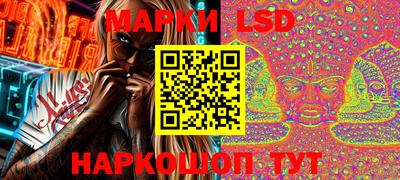 гидропоника Будённовск