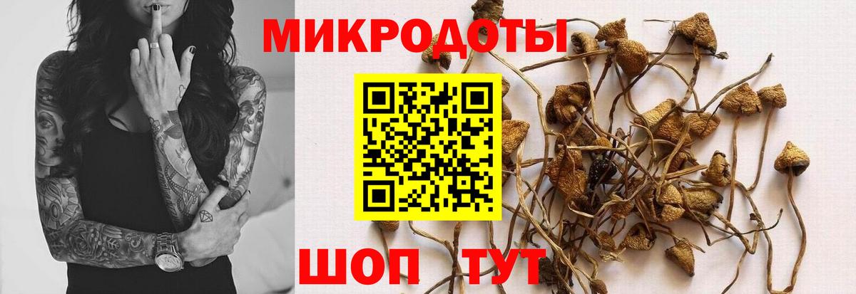 Галлюциногенные грибы Magic Shrooms  Галлюциногенные грибы GOLDEN TEACHER  Черняховск  Вход с VPN 